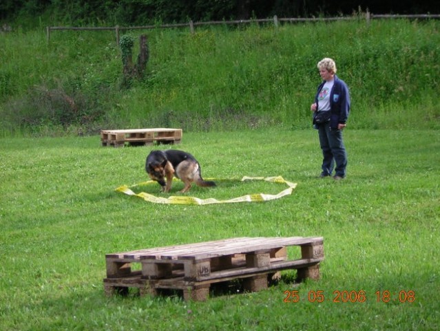 šolanje psov 25.5.2006 - foto