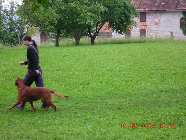 Izpiti 10.6.2006 - foto povečava