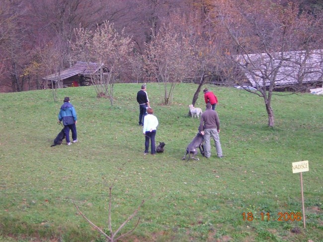 IZPITI 18.11.2006 - foto povečava