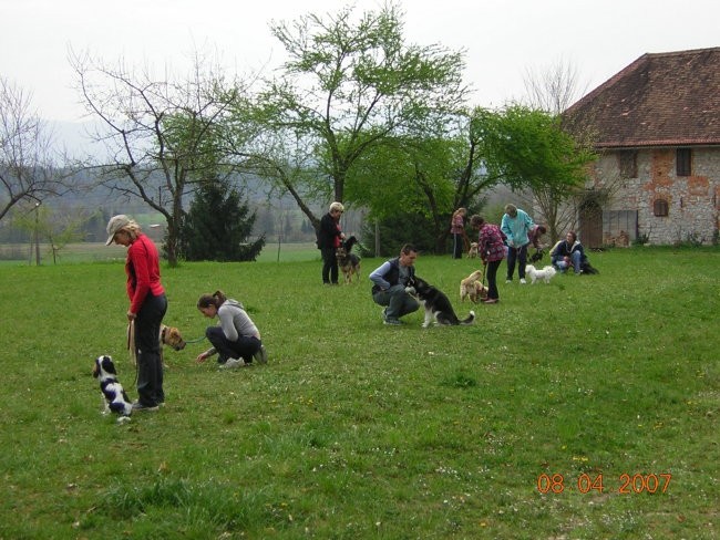 Solanje 8.4.2007 - foto povečava