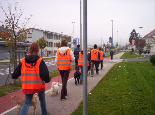 Urbano okolje 2 skupina - foto povečava