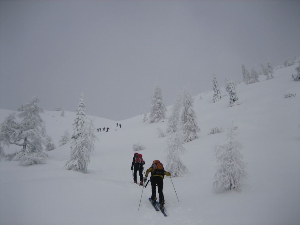 BRDO_dec10 - foto povečava