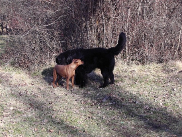 Neon & Ginny - foto