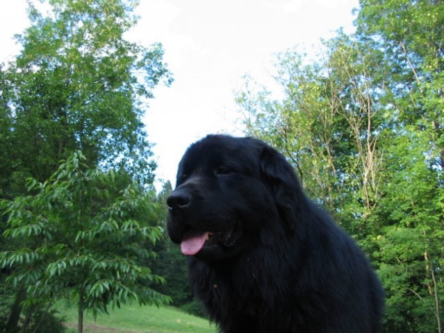 Leonora in Lyra - foto