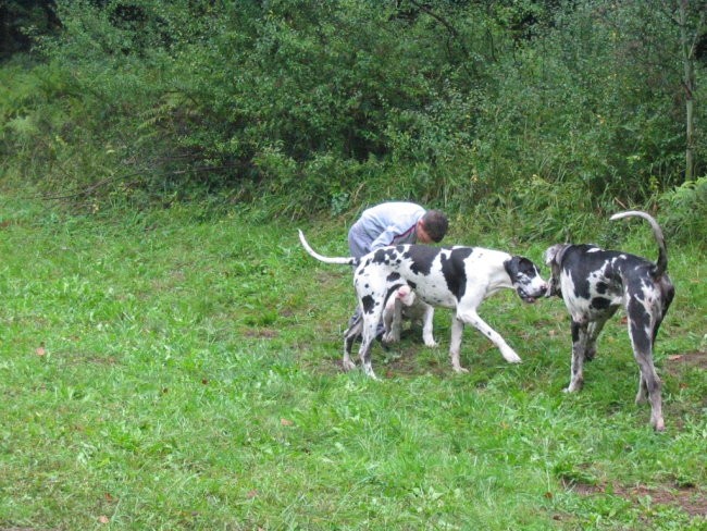 Doga piknik 2006 - 16.9. - foto povečava