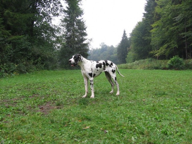 Doga srečanje 2006 - foto Person - foto