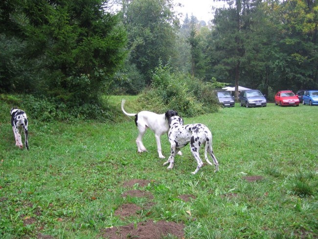 Doga srečanje 2006 - foto Person - foto povečava