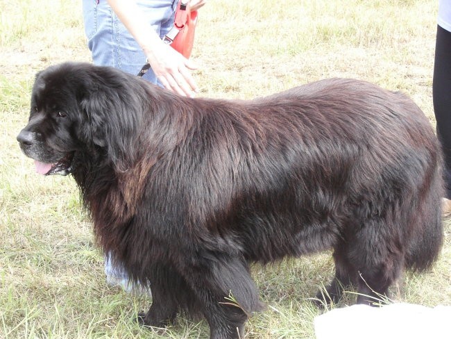 Trbovlje, 27.8.2006 - foto povečava