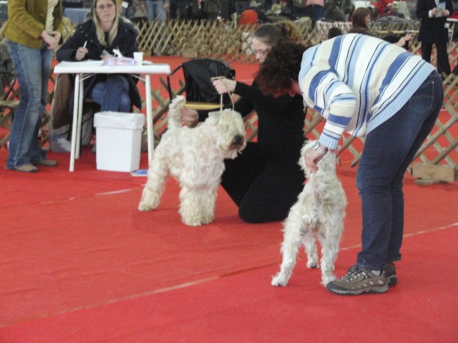 CAC Winter Winner Celje 2007 - foto povečava