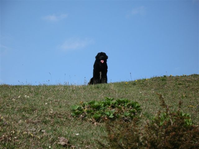 Lepenatka 2.5.2007 & Rogatec 3.5.2007 - foto povečava