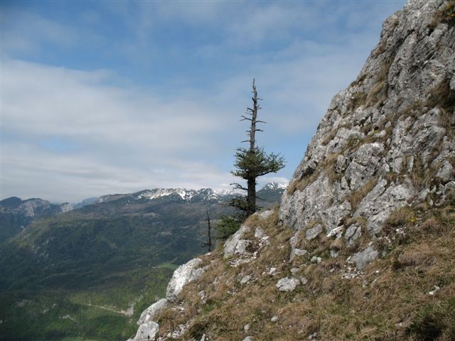 Lepenatka 2.5.2007 & Rogatec 3.5.2007 - foto povečava