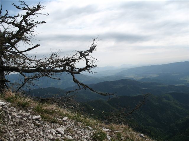 Lepenatka 2.5.2007 & Rogatec 3.5.2007 - foto povečava