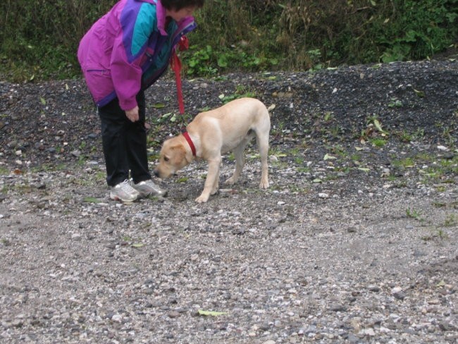 Enzo šola, 14. oktober 2005 2 - foto povečava