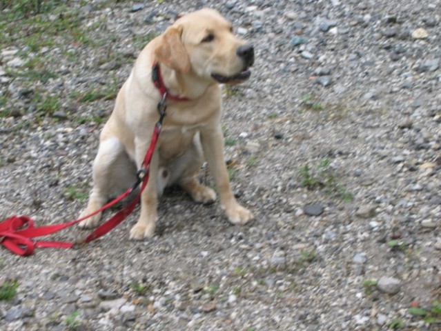 Enzo šola, 14. oktober 2005 2 - foto