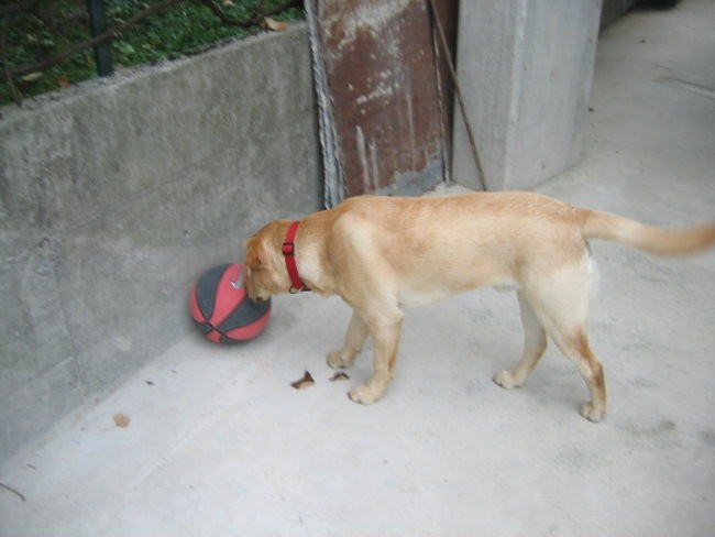 Enzo na terasi, 31. oktober 2005 - foto povečava