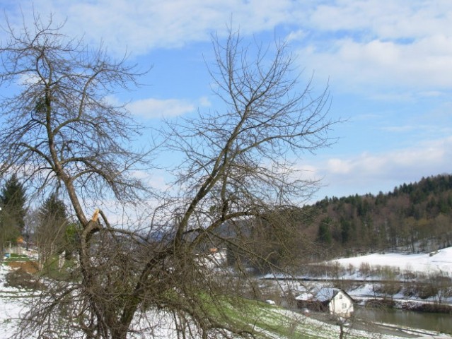 Razne slike - foto