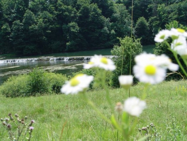 Kočevje 25-26.6. - foto