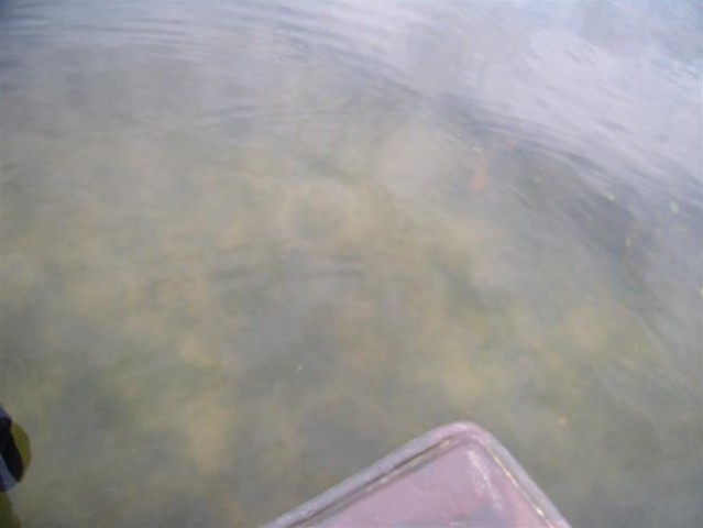 Slivniško jezero - foto