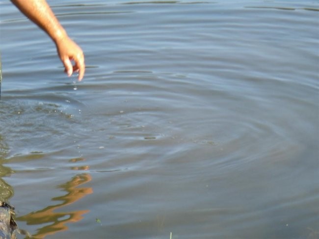 Slivniško jezero - foto povečava