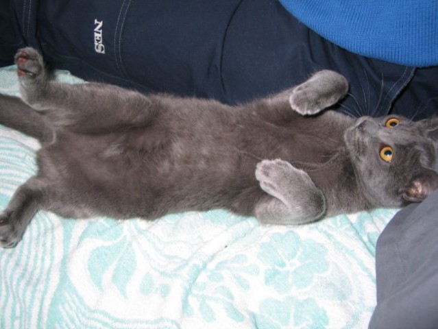 Nika (30.5.2006) - foto