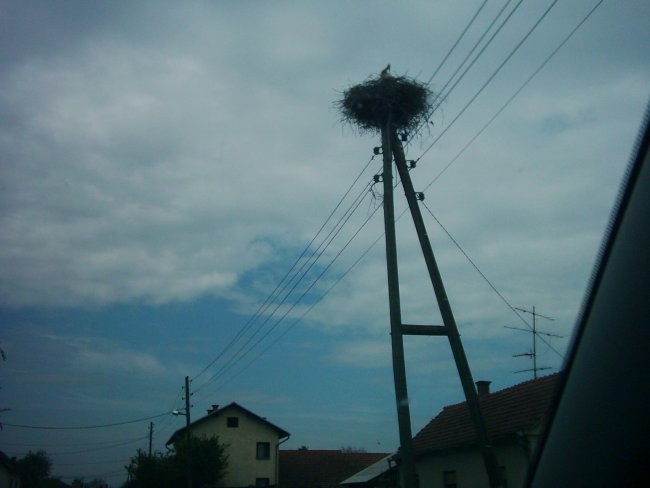 storklja :)