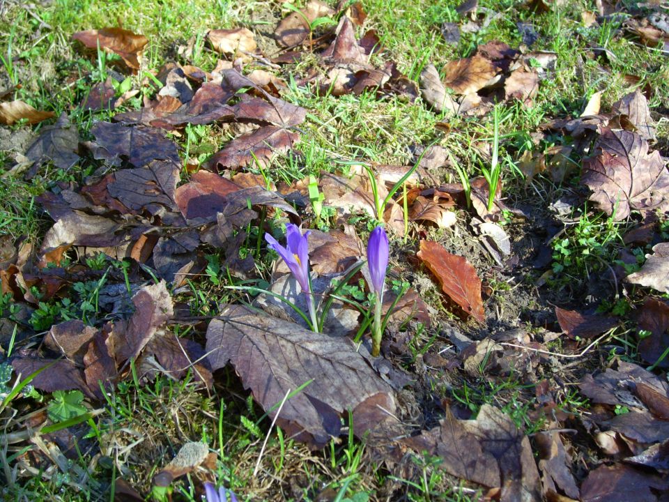 Matajur - foto povečava