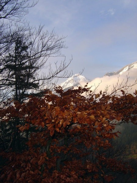 Pogled na Storžič iz Skalce