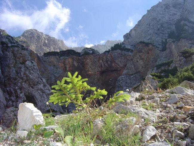 ostenje slapu Čedca,žal brez vode