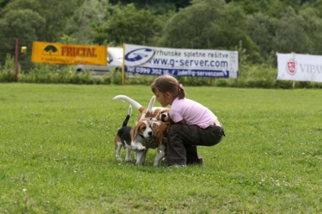 Piknik - foto