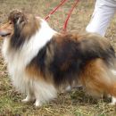 Brilyn Designer Image