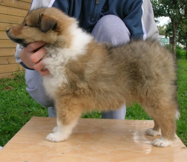 Androma Fatal Sweet Zoey