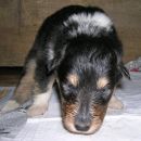 Blacky