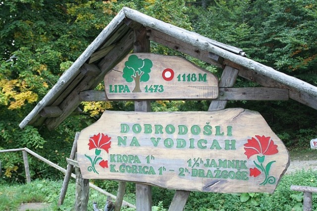 Tek na Vodiško planino 2009 - foto