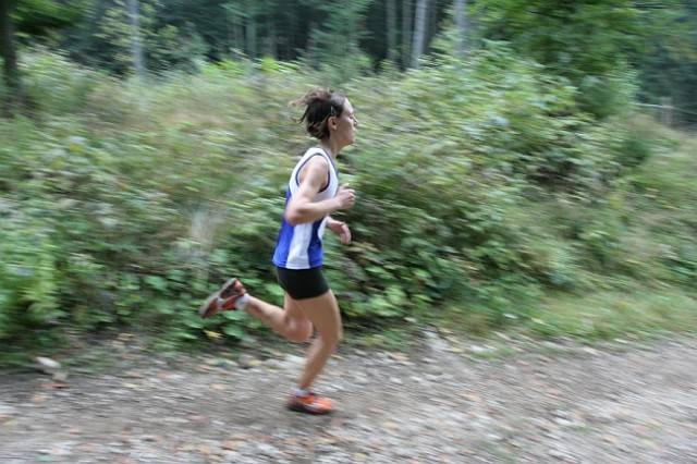 Tek na Vodiško planino 2009 - foto