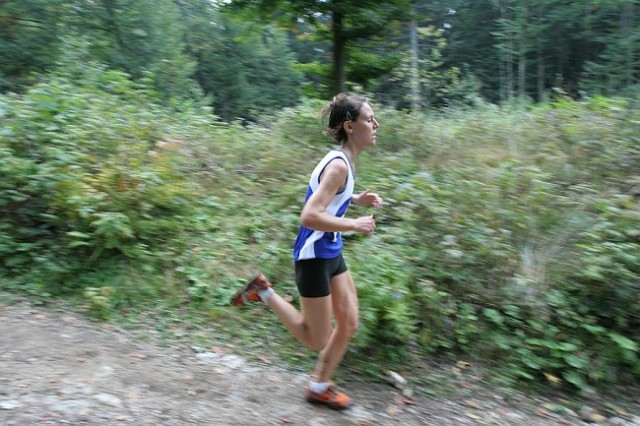 Tek na Vodiško planino 2009 - foto