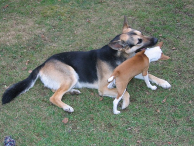 Tija & Bono - foto