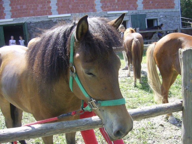 Jahalni tabor - foto