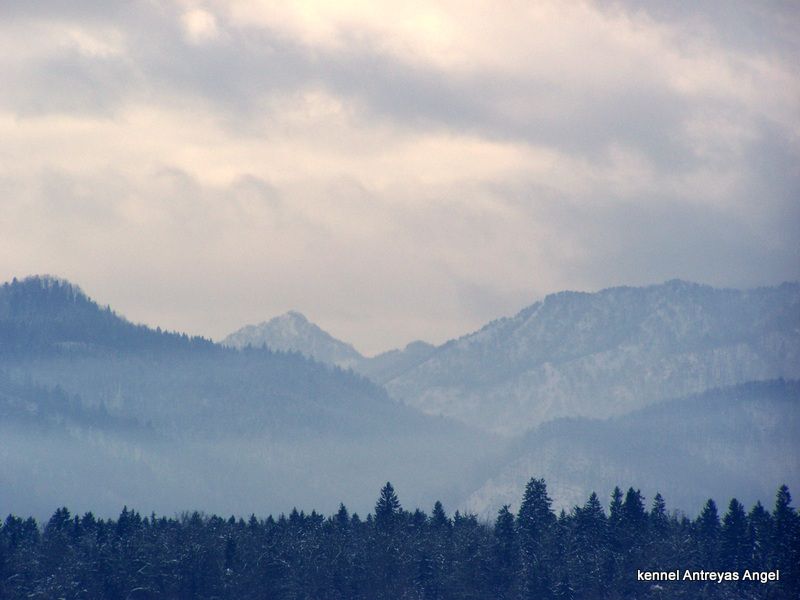 ZIMA 2015 - foto povečava
