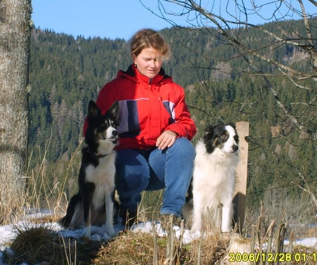 Border Collie-Antej - foto povečava