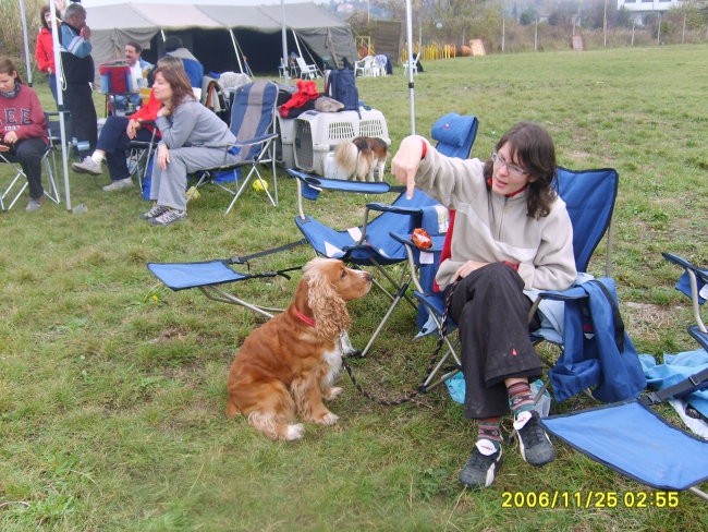 Agility Obala  - foto povečava