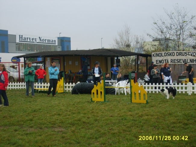 Agility Obala  - foto povečava