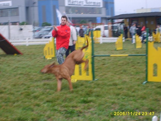 Agility Obala  - foto