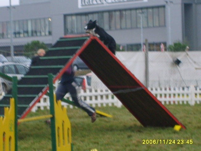 Agility Obala  - foto povečava