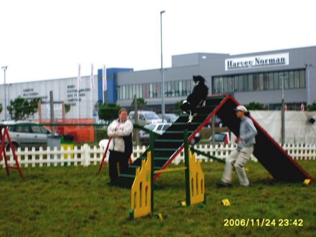 Agility Obala  - foto povečava