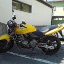 honda hornet