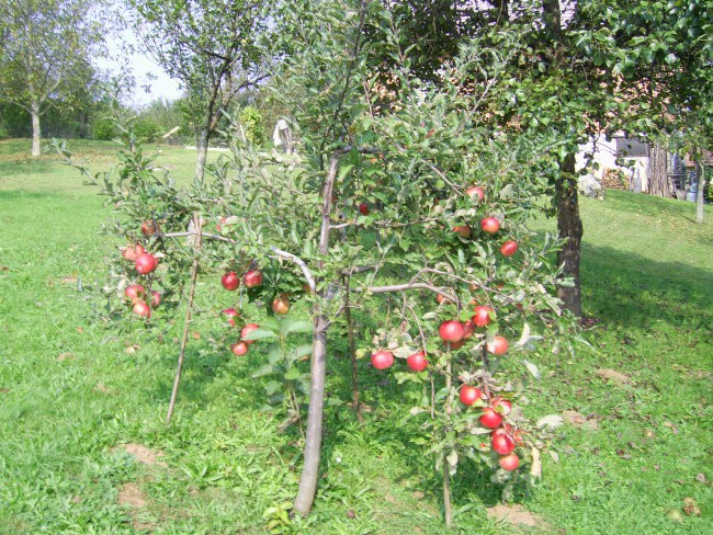 Razno - foto povečava