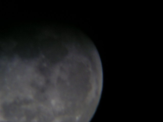 Luna - foto