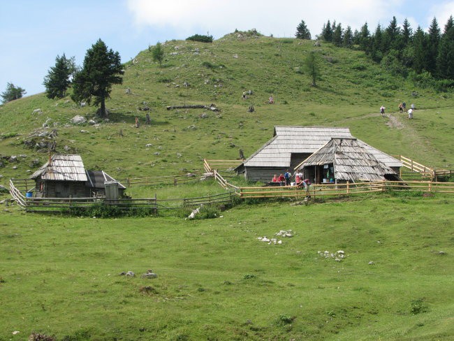 Peš na Veliko Planino -junij 2006 - foto povečava