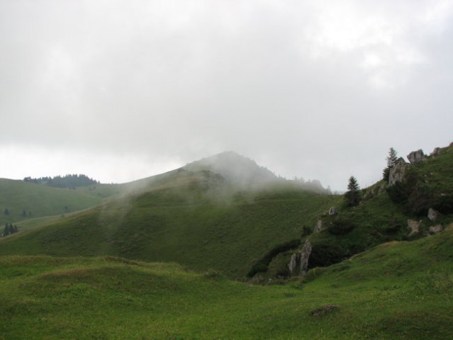 Peš na Veliko Planino -junij 2006 - foto