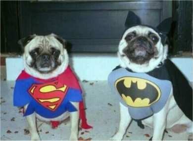 ready to save you